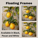 Close-Up Lemons on Branch with Leaves Vintage Botanical Style Illustration for Kitchen or Dining Room Rustic Farmhouse Citrus Fruit Art Print on Ready to Hang 1.5" Thick Canvas Wrap, Floating Framed Canvas, Flat Rolled Canvas