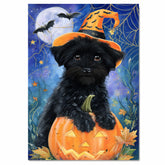 Halloween Affenpinscher Dog Canvas Wall Art with Spider Web Rustic Spooky Pet Lover Decor for Living Room on Ready to Hang 1.5" Thick Canvas Wrap, Floating Framed Canvas, Flat Rolled Canvas