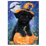 Halloween Affenpinscher Dog Canvas Wall Art with Spider Web Rustic Spooky Pet Lover Decor for Living Room on Ready to Hang 1.5" Thick Canvas Wrap, Floating Framed Canvas, Flat Rolled Canvas