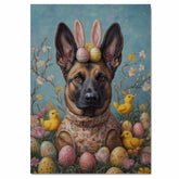 Festive Paws: Belgian Malinois Showcasing a Charming Easter Ensemble on Ready to Hang 1.5" Thick Canvas Wrap, Floating Framed Canvas, Flat Rolled Canvas