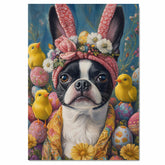 Easter Joy: Boston Terrier Dressed in a Festive Spring Outfit on Premium Canvas Wrap, Framed Print, or Rolled Artwork