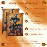 Doberman Pinscher Outdoor Welcome Flag Front Porch Decorations for Home Dog Witch Hat Jack O Lantern Halloween Fall Garden Flag for Autumn Yard Spooky Seasonal Decor