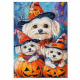 Maltese Dog Halloween Canvas Wall Art with Witch Hat and Pumpkin Rustic Fall Farmhouse Decor for Autumn on Ready to Hang 1.5" Thick Canvas Wrap, Floating Framed Canvas, Flat Rolled Canvas