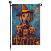 Rhodesian Ridgeback Dog Welcome Halloween Pumpkin Festive Witch Hat Banner for Porch Lawn Decoration for Fall Autumn Yard Flag Dog Lovers Party Pathway Decor