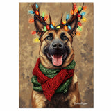 Rustic Cheer' - Belgian Malinois Dog with Christmas Lights & Cozy Scarf on Rustic Background, Ready to Hang 1.5" Thick Canvas Wrap, Floating Framed Canvas, Flat Rolled Canvas