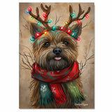 "Rustic Joy" - Cairn Terrier Dog with Lighted Antlers & Cozy Scarf on Rustic Canvas, Ready to Hang 1.5" Thick Canvas Wrap, Floating Framed Canvas, Flat Rolled Canvas