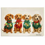 Christmas Canvas  - ÒDachshund SnugglesÓ - Adorable Dogs in Cozy Sweaters Wrapped in Colorful Christmas Lights on Ready to Hang 1.5" Thick Canvas Wrap, Floating Framed Canvas, Flat Rolled Canvas