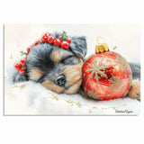 Schnauzer Christmas Canvas - "Silent Night Snooze" - Cozy Puppy Nestled Beside Christmas Ornament on Ready to Hang 1.5" Thick Canvas Wrap, Floating Framed Canvas, Flat Rolled Canvas