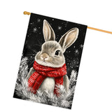 Christmas Cat House Flag Double Sided, Orange Cat with Scarf Winter Outdoor Flag 28x40 Inch Farmhouse Holiday Decorative Flag for Front Porch Yard Home