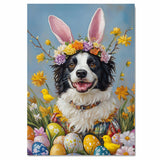Hoppy Moments: Border Collie Showing Off a Charming Easter Ensemble on Decorative Canvas Wrap, Framed Print, or Rolled Artwork