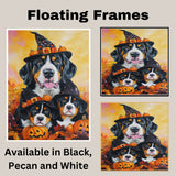 Greater Swiss Mountain Dog Halloween Canvas Wall Art with Pumpkins and Witch Hats Rustic Fall Farmhouse Decor on Ready to Hang 1.5" Thick Canvas Wrap, Floating Framed Canvas, Flat Rolled Canvas