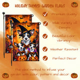 Rat Terrier Dog in Witch Hat Pumpkin Yard Banner for Halloween Lawn Welcome Sign Holiday Banner with Bat Rustic Small Yard Flag for Fall Farmhouse Garden Flag