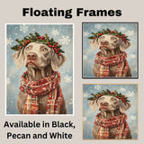 Weimaraner Christmas Dog Wall Art with Red Scarf and Holly Wreath for Winter Snow Festive Puppy Holiday Artwork on Flat Rolled, Framed or Wrapped Canvas