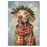 Weimaraner Christmas Dog Wall Art with Red Scarf and Holly Wreath for Winter Snow Festive Puppy Holiday Artwork on Flat Rolled, Framed or Wrapped Canvas
